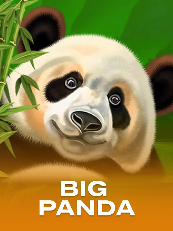 Big Panda